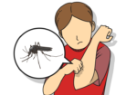 Diseases caused by mosquitoes